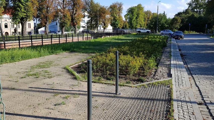 Goście Parku Oruńskiego w Gdańsku narzekają na brak miejsc postojowych w jego okolicy. Nowe jednak szybko nie powstaną