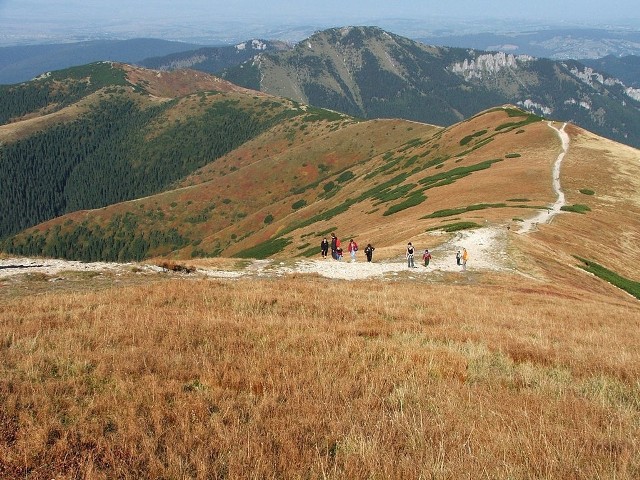 GrześTo dwuwierzchołkowy szczyt w Tatrach Zachodnich, w grzbiecie granicznym na zachód od Polany Chochołowskiej. Grześ jest odwiedzany zarówno przez polskich, jak i słowackich turystów. W zimie zjeżdżają z niego narciarze. Nartostrada istniała tutaj już przed II wojną światową, w 1956 została ponownie otwarta i obecnie dopuszczalna jest tutaj zimowa turystyka narciarska. Na szczycie znajduje się drewniany krzyż, ustawiony w 1992 roku na pamiątkę konspiracyjnych spotkań działaczy opozycyjnych z Polski i Słowacji.