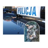 Kłusownicy na Jeziorze  Łasińskim Dużym pod Grudziądzem. Wpadli w ręce straży rybackiej i policji! Zabezpieczono 97 kg ryb! [zdjęcia]