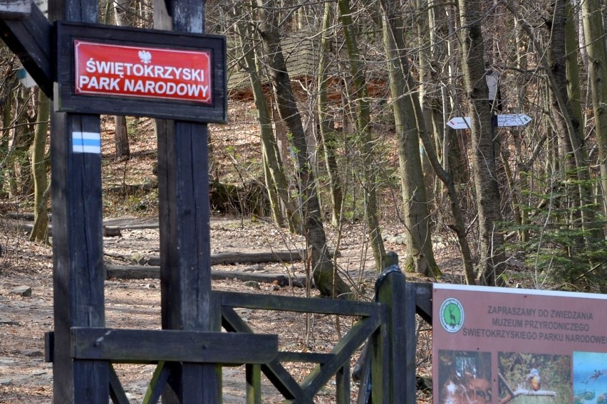 Nowy szlak w Świętokrzyskim Parku Narodowym. Na razie pieszo, rowerzyści muszą poczekać 