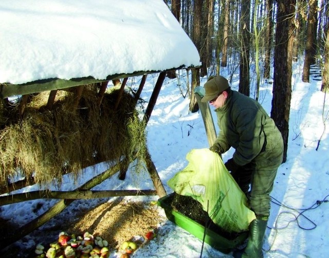 Jan Duda, prezes Koła Łowieckiego &#8222;Cyranka&#8221; w Kolnie, podobnie jak pozostali członkowie koła, ma przydzielone do obsługi paśniki. Regularnie uzupełnia w nich zapasy pokarmu dla zwierząt.