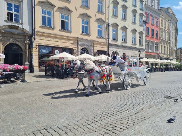 Dorożka przejeżdżająca przez Rynek Główny w środe 28 lipca