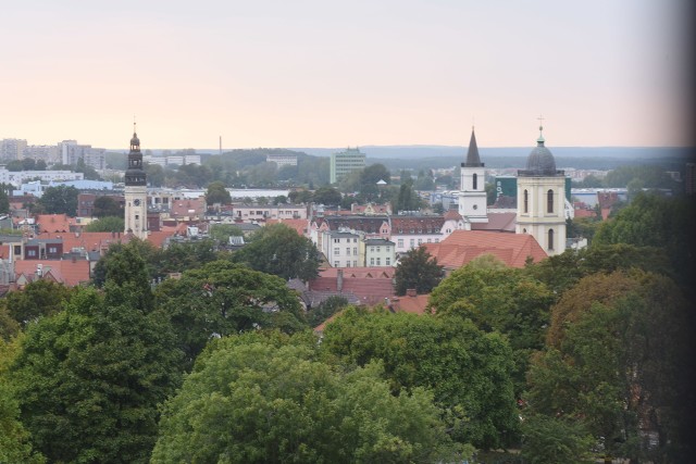 W Zielonej Górze w tym roku szkolnym ostatnią klasę gimnazjum i szkoły podstawowej skończy 2.800 uczniów. Miasto przygotowało 3.300 miejsc w szkołach ponadpodstawowych. Jak pokazuje doświadczenie poprzednich lat, w wielu szkołach połowę uczniów stanowi młodzież spoza Zielonej Góry...