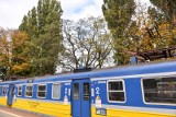 Gdańsk: Wypadek na torach przed przystankiem Stocznia SKM. Kobieta wtargnęła pod pociąg
