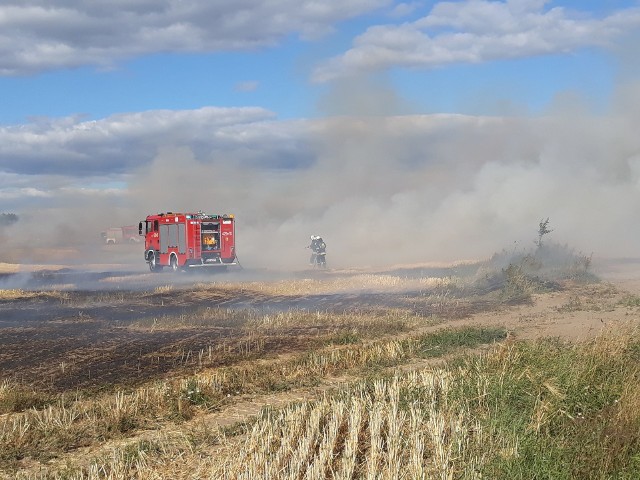 W sobotę w miejscowości Żabin w gminie Wierzchowo doszło do poważnego pożaru ścierniska. Do zapalenia doszło podczas koszenia zboża. Sytuacja znacznie się pogorszyła na skutek silnego wiatru. Spaleniu uległo ponad 25 hektarów traw, w tym zboże.Zobacz także Pożar w Gościnku koło Białogardu