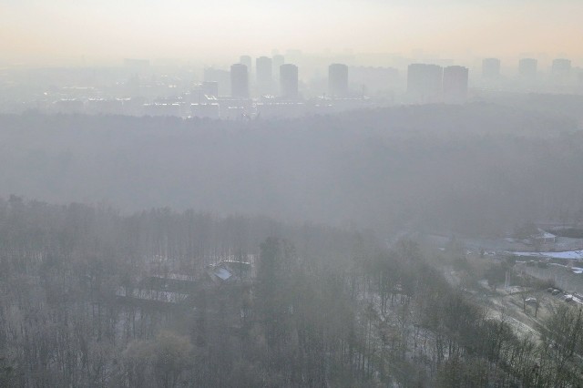 Tak wyglądał Poznań 10 stycznia, kiedy to wydano alert RCB, nawołujący do zrezygnowania z aktywności na zewnątrz