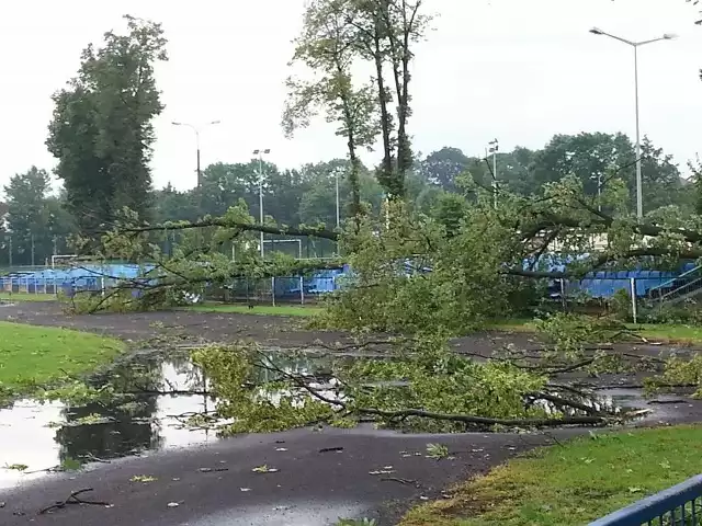 Nocna wichura przeszła też nad stadionem Miejskiego Ośrodka Sportu przy ul. Gnieźnieńskiej w Żninie. Pogoda na dzień (02.08.2017)  | KUJAWSKO-POMORSKIEźródło: TVN Meteo/x-news