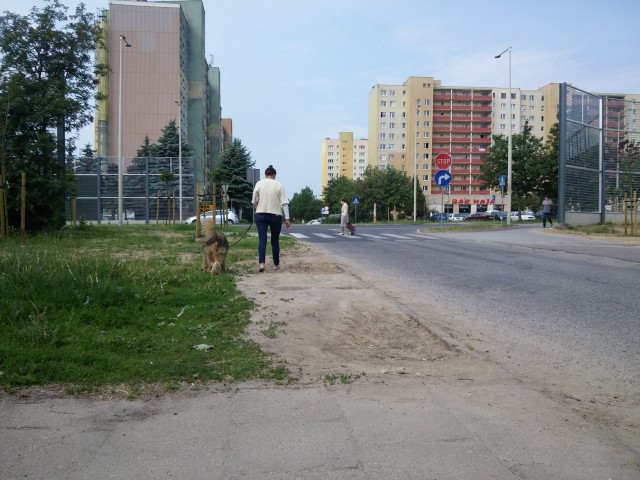 Dyrektor Zarządu Infrastruktury Miejskiej zapowiada, że w najbliższym czasie nie ma planów ulożenia brakującej części chodnika przy ul. Bora-Komorowskiego