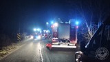 Powiat tarnogórski. Policja prowadzi śledztwo w sprawie tragicznego wypadku w Potępie. Możliwi świadkowie proszeni o kontakt