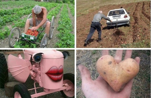 Najlepsze memy i zdjęcia o rolnikach i życiu na wsi.