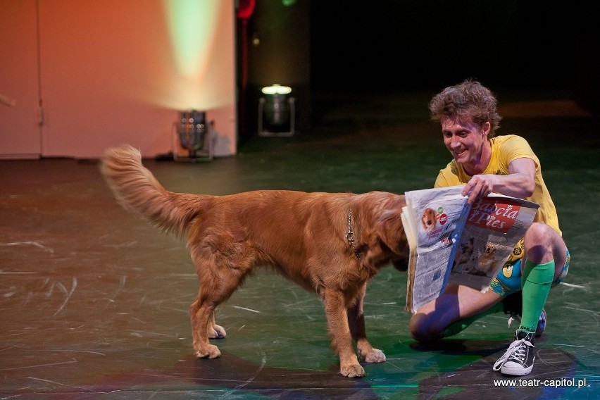 Pies na teatr. Czyli czworonożni aktorzy w roli głównej (ZOBACZ ZDJĘCIA)