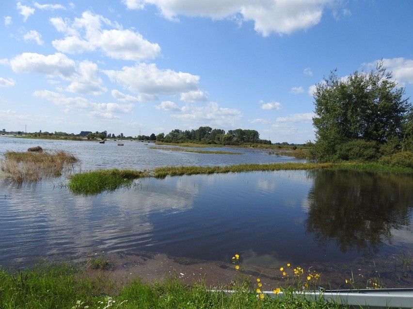 Powódź w gminie Pacanów. Fala kulminacyjna na Kanale Strumień. Ucierpiało 400 gospodarstw