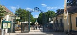 Oto najstarszy ogród zoologiczny na świecie. Można tam dojechać samochodem z centrum Polski ZDJĘCIA