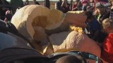 Ponad 600-kilogramowa dynia zmiażdżyła auto (wideo)