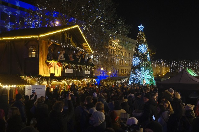W Poznaniu już świeci się świąteczna choinka. Jej zapaleniu kibicował tłum  poznaniaków na placu Wolności. Zobacz zdjęcia | Głos Wielkopolski