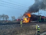 Wypadek na przejeździe kolejowym w Wymysłowie. Pociąg wjechał w ciężarówkę. Pojazd stanął w ogniu