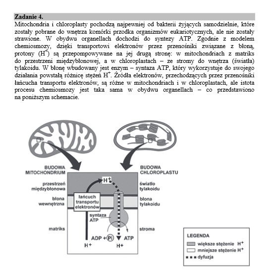 Matura 2015 BIOLOGIA - nowa matura dla LO (wersja A) - ARKUSZ CKE - ODPOWIEDZI - TESTY ONLINE