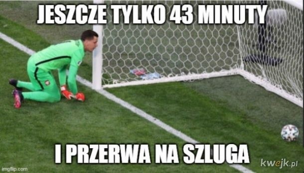 Polska - Szwecja 2:3 - Memy