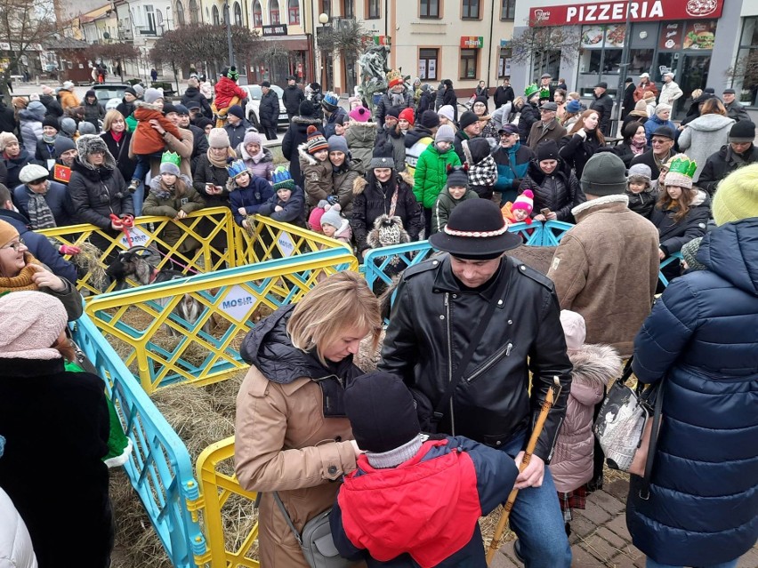 Orszak Trzech Króli w Tarnobrzegu. Barwne korowody, żywa szopka i radosne kolędowanie na Rynku przyciągnęły tłumy wiernych. Zobacz zdjęcia! 