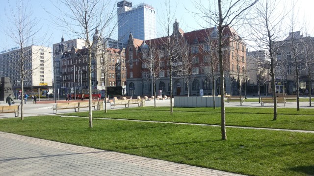 Rynek w Katowicach