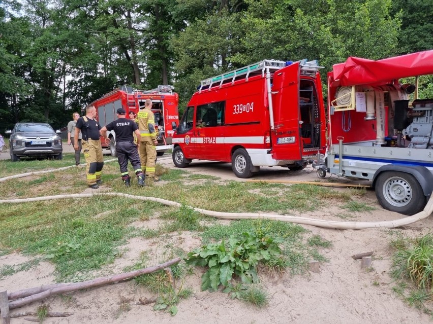 Pożar torfowiska w Otominie. Długa i trudna akcja gaśnicza strażaków. Z ogniem walczyli 6 godzin