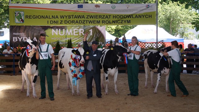 Ubiegłoroczną wystawę zwierząt w Szepietowie zdominował Stanisław Żochowski ze wsi Kamińskie Wiktory (2. z lewej)