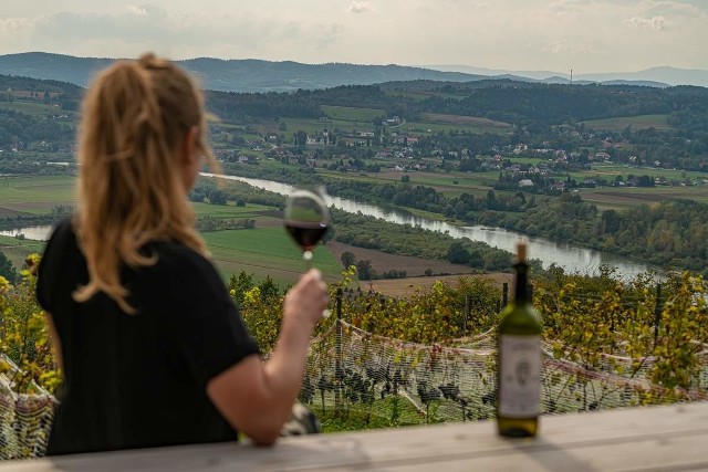 Winnice w gminie Pleśna są pięknie położone i roztacza się nich panorama na Pogórze i Dolinę Dunajca. Jedną z nich jest m.in. winnica Uroczysko