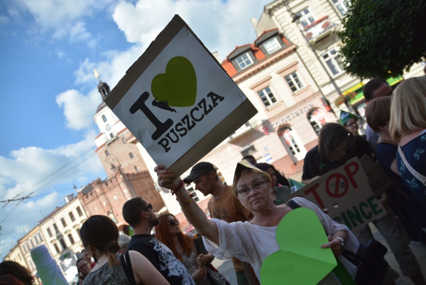 Pikieta w obronie Puszczy Białowieskiej. Chcą lasu, a nie fabryki desek (ZDJĘCIA, WIDEO)