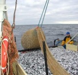Rybołówstwo: ministerstwo przysłało nam sprostowanie