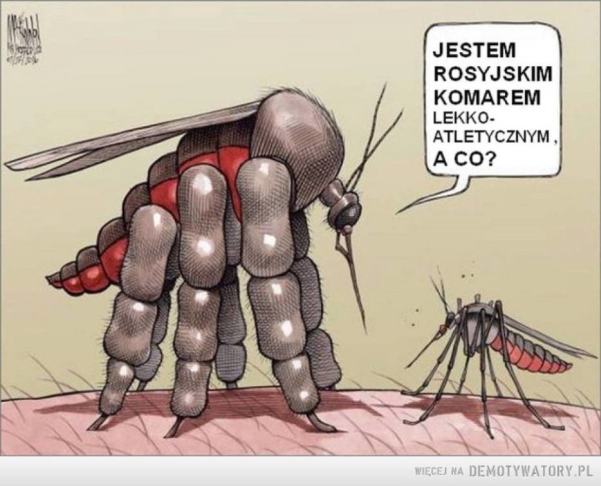 Plaga komarów 2020! Krwiopijcy atakują stadami nie tylko w całym Lubuskiem. Co robić? Na razie proponujemy trochę humoru