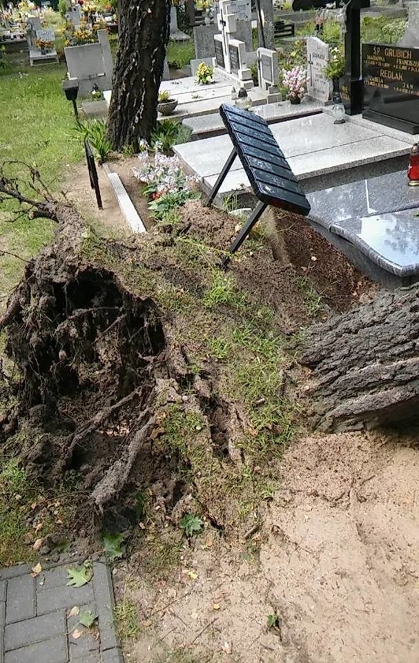 Poniszczone groby, połamane drzewa - taki obraz zastał nasz...