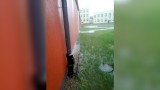 W nowej hali sportowej w Szczecinku deszczówka lała się po ścianach [zdjęcia, wideo]