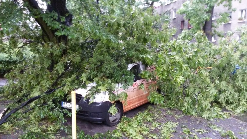 Najgorzej jest na ul. Fredry, Piłsudskiego, Czarneckiego i...