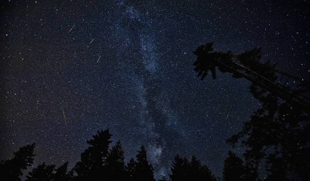 W ciągu godziny na niebie będzie można zobaczyć nawet 120 przelatujących meteorów.