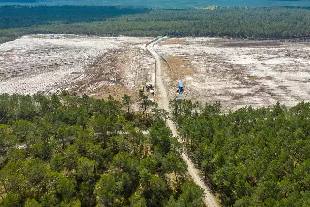 Znika las w miejscu projektowanej elektrowni jądrowej na Pomorzu.