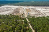 Misja MAEA i wycinka lasu. Kolejne etapy w budowie elektrowni jądrowej
