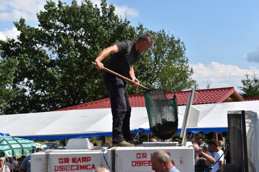 W sobotę, 11 sierpnia w Osiecznicy odbyła się jedenasta...