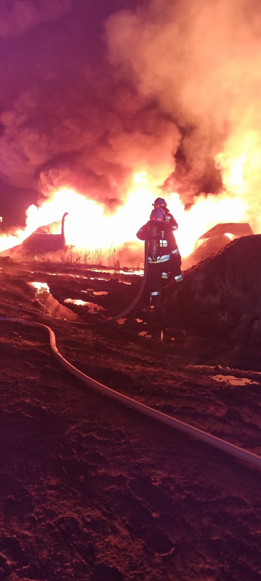 Pożar hali w miejscowości Wieszowa - zdarzenie wyglądało...