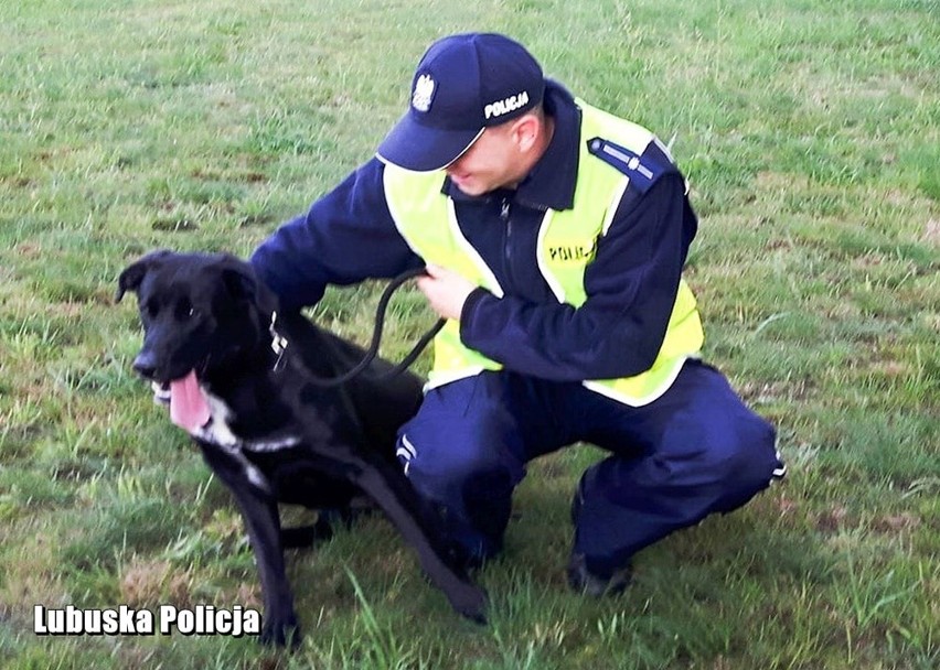 Asp. Ernest Pondel już po raz drugi adoptował psa, nad...