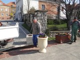 Sandomierz przygotowuje się do sezonu turystycznego - miasto tonie w bratkach 