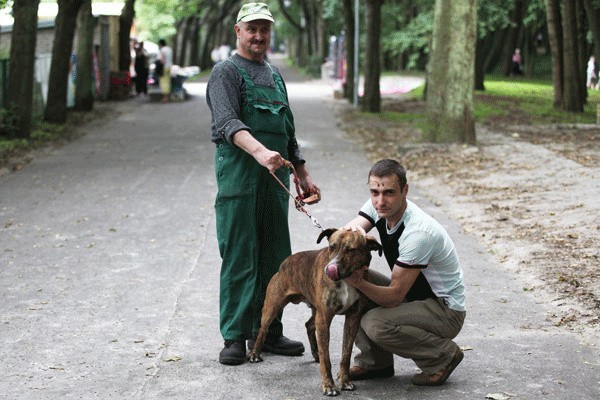 Pielęgniarz zwierząt Janusz Łaska (po lewej) i kierownik schroniska, MIchał Chojnacki z psem, który błąkał się po plaży.