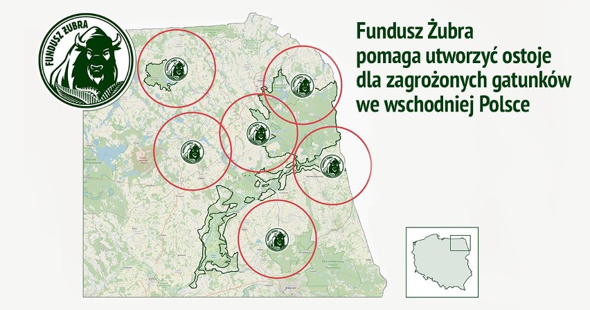 Fundusz Żubra pomaga utworzyć ostoje dla zagrożonych...