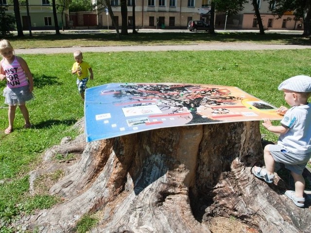 W parku na placu Powstańców Warszawskich przez cały czas można pograć w grę planszową zamontowaną na pniu drzewa.  