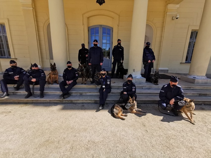 W szeregach podlaskiej policji służy 56 psów. Część z nich...