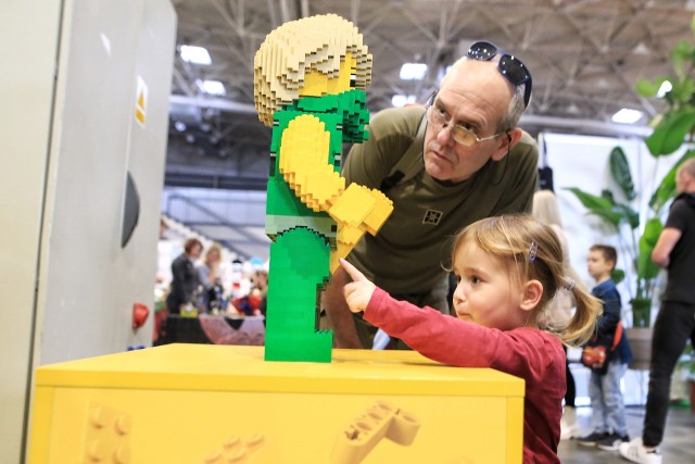 W weekend 29-30 października Międzynarodowe Targi Poznańskie zapełniły się pasjonatami - od gier planszowych i komputerowych, przez modelarzy i fanów klocków LEGO, po miłośników rękodzieła i szycia, na amatorach tańca kończąc. Wszyscy spotkali się w pawilonie 3 i 3A na MTP.