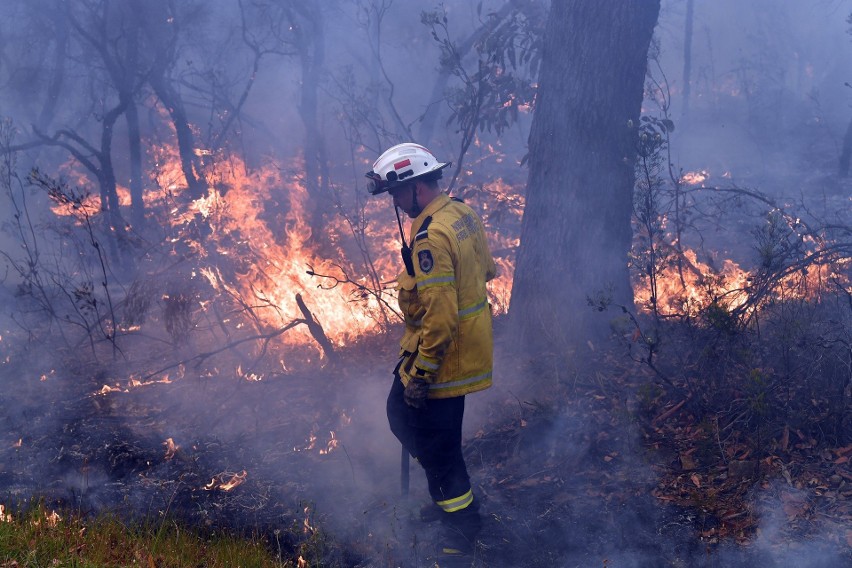 Pożary w Australii [ZDJĘCIA] [WIDEO] Giną ludzie i misie koala. Ogień naciera na Sydney, zniszczone zostało miasteczko Balmoral [MAPA]