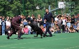 “Dzień Bezpieczeństwa” w Szkole Podstawowej nr 1 w Krzepicach. Na uczniów czekały wykłady, pokazy i konkursy 