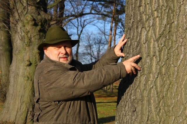 - Jest zbyt ciepło jak na tę porę roku - mówi łowczy Wojciech Plewka. - Nic nie powstrzymuje kryjących się pod korą szkodników.