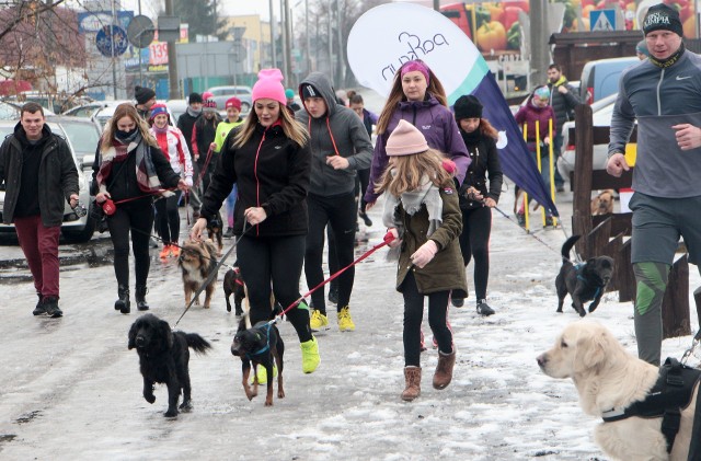 Organizatorzy biegu Park Run oraz Centrum Opieki nad Zwierzętami w Grudziądzu zaprosili na charytatywną edycję sobotniego biegu po lesie komunalnym. Tym razem był to pieg z psami.