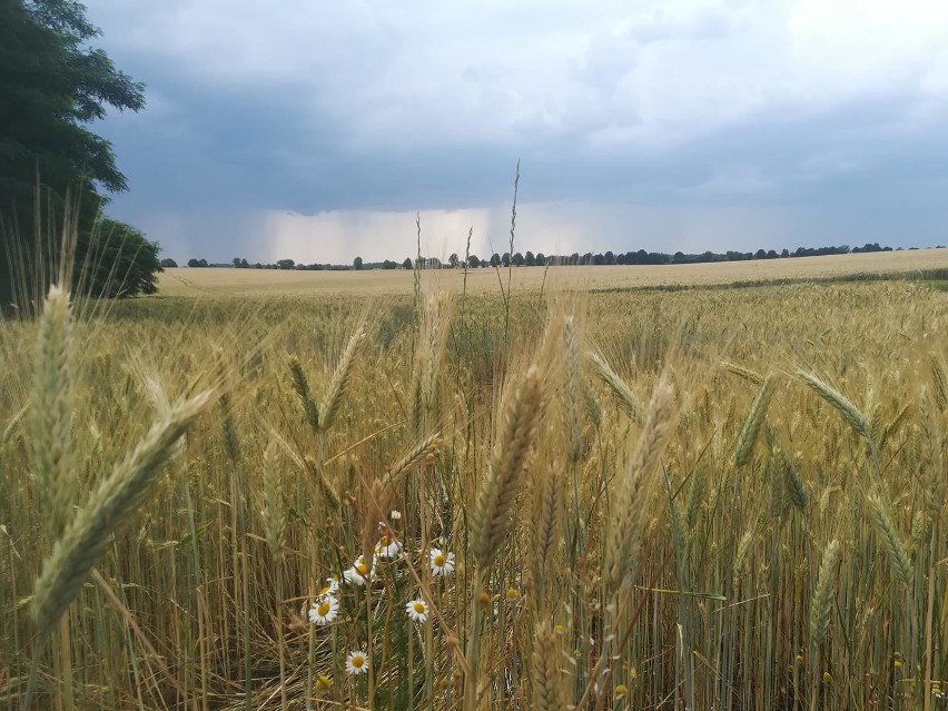 Burza nad województwem opolskim. Zdjęcia internautów